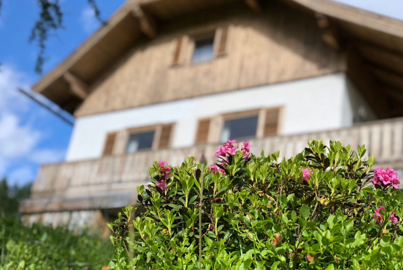 Auszeit auf der Karneralm, Österreich