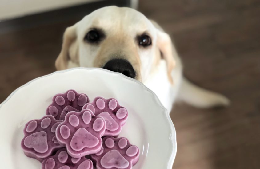 Blaubeer Eis-Snack